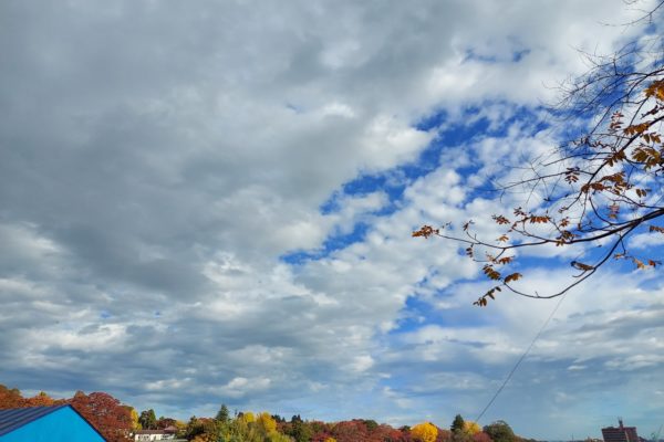 暮らしの市2024秋終了しました