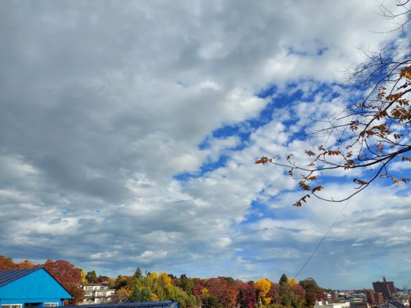 暮らしの市2024秋終了しました