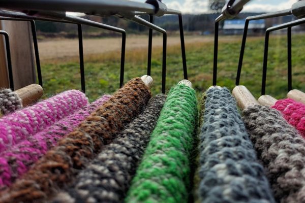 taneichi 秋の会 終了